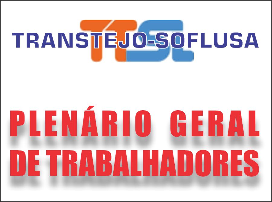 Plenario TTSL