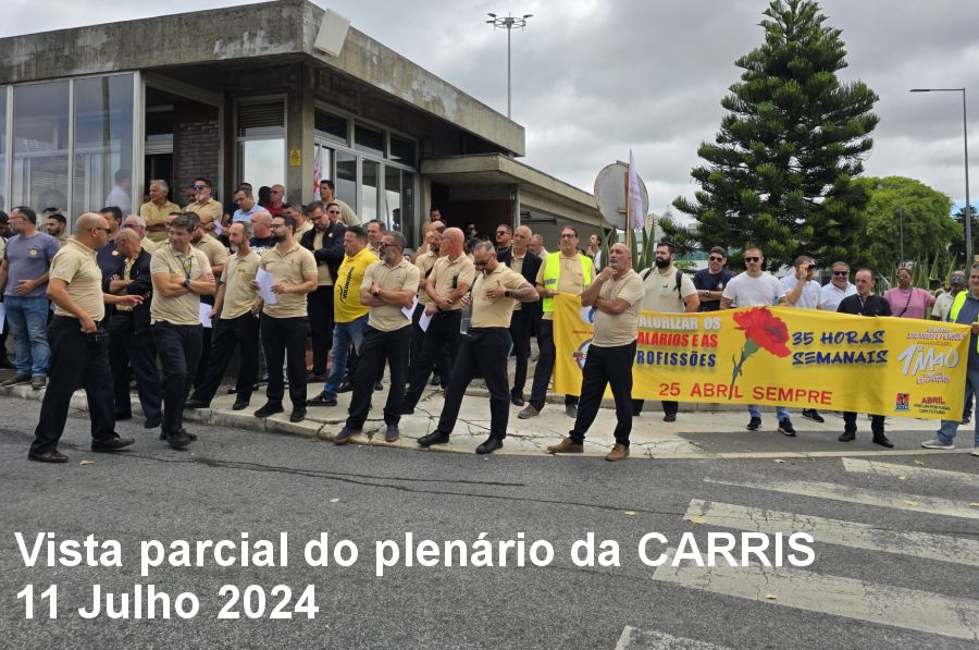 Plenario Carris 11 Julho 2024