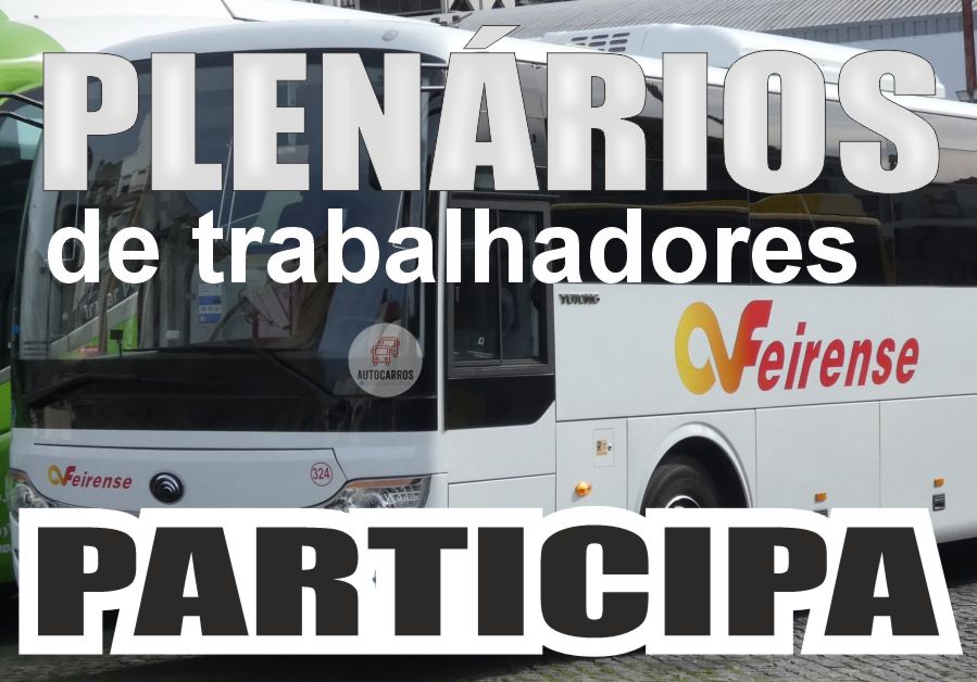 PlenariosFeirense